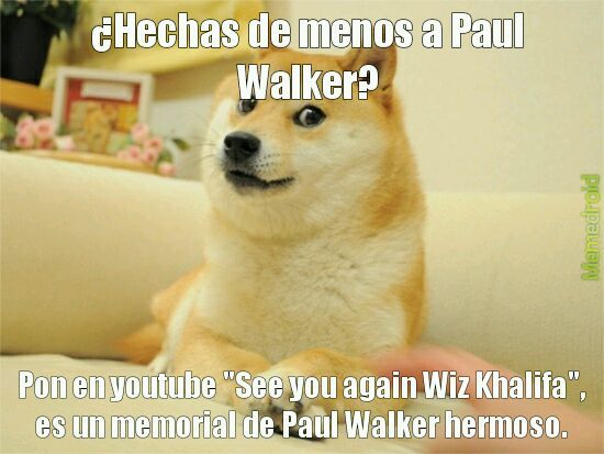Paul Walker - meme