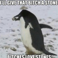 Penguins know chivalry