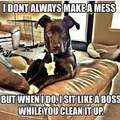 Bark like a boss