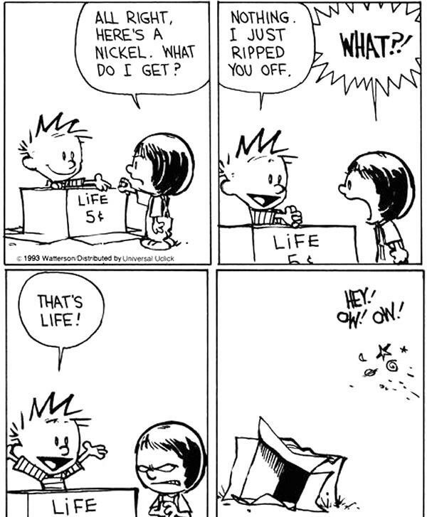Calvin and Hobbes... I miss them - meme
