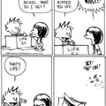 Calvin and Hobbes... I miss them
