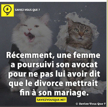 Divorce Meme By Chocapik Memedroid