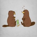 When a beaver seduces a platypus