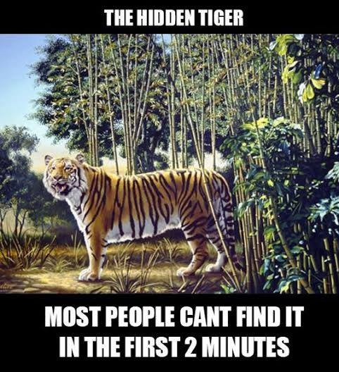 The hidden tiger, when you see it you can not un see it - meme