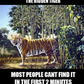The hidden tiger, when you see it you can not un see it