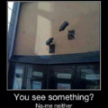 you see something ??