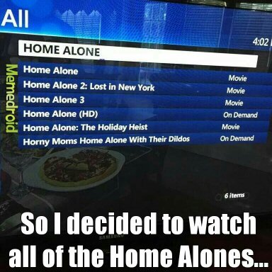 Home alone... - meme