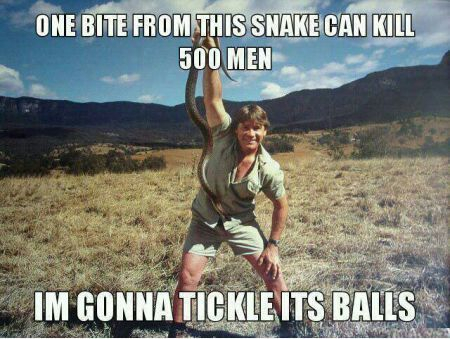 I wouldn't be able to be within 10 ft of a snake - meme