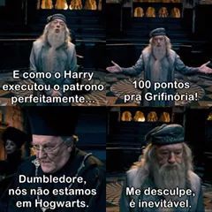 Dumbledore da o cu igual a quem tá lendo. isso significa muito... - meme