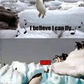 La historia del pingüino que queria volar