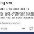 YOU HAVE COMMITTED CRIMES AGAINST SKYRIM
