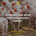 Im from Denmark.