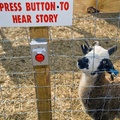 Press A to goat.