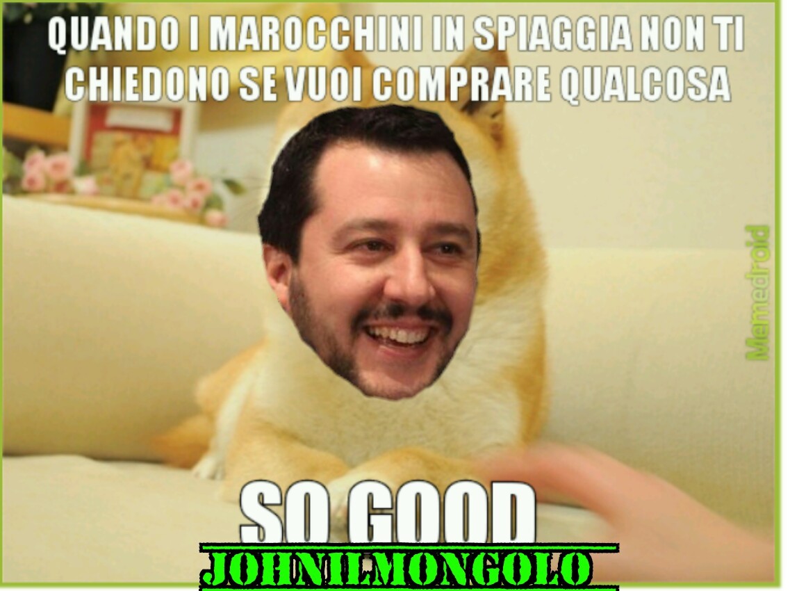 Salvini approves - meme