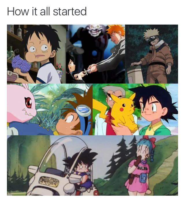 Animes- one piece, bleach, naruto, digimon,pokemon and dragon ball - meme