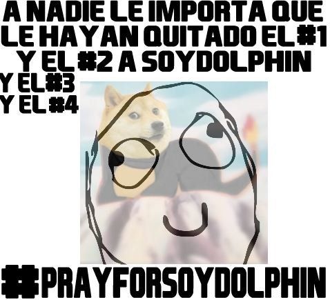#PrayForSoyDolphin - meme