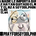 #PrayForSoyDolphin