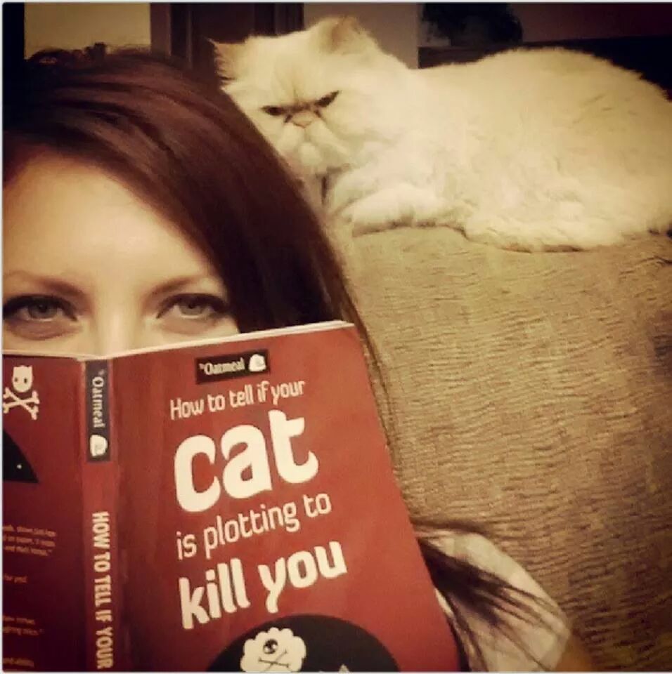 Il fait peur. Votre chat a-t-il déjà tenté de vous tuer ? 8) - meme