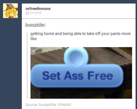 Set ass free - meme