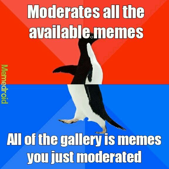 Moderation... - meme
