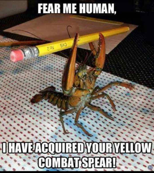 I am lobster lord - meme