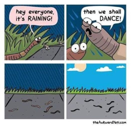 I dedicate this to all worms who couldn't make it back underground on sunny days - meme