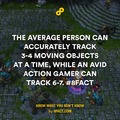 Average person
