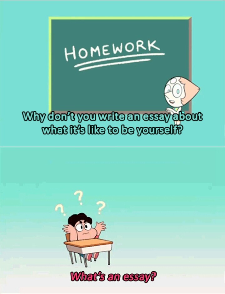 What is an essay? - meme