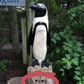 Found this at the zoo