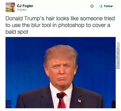 Donald Trumps hair looks. ...... - meme