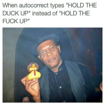 Hold the duck up - meme