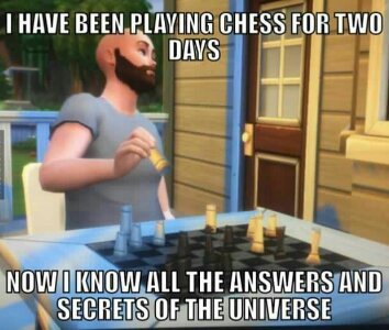 Sims Logic? - meme