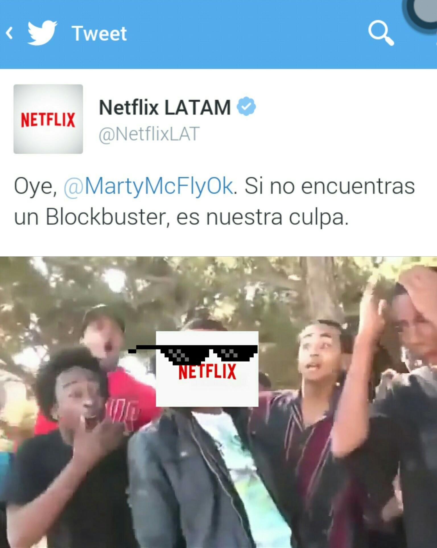 Netflix es vida, Netflix es amor - meme