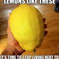 Mutaned Lemon