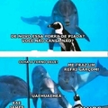 Sis golfinho zueiro sei n viu