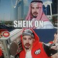 Shake it of Sheik