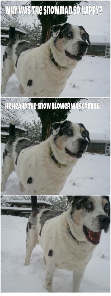 The blower swallows all the white stuff(snow) - meme