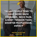 taller people
