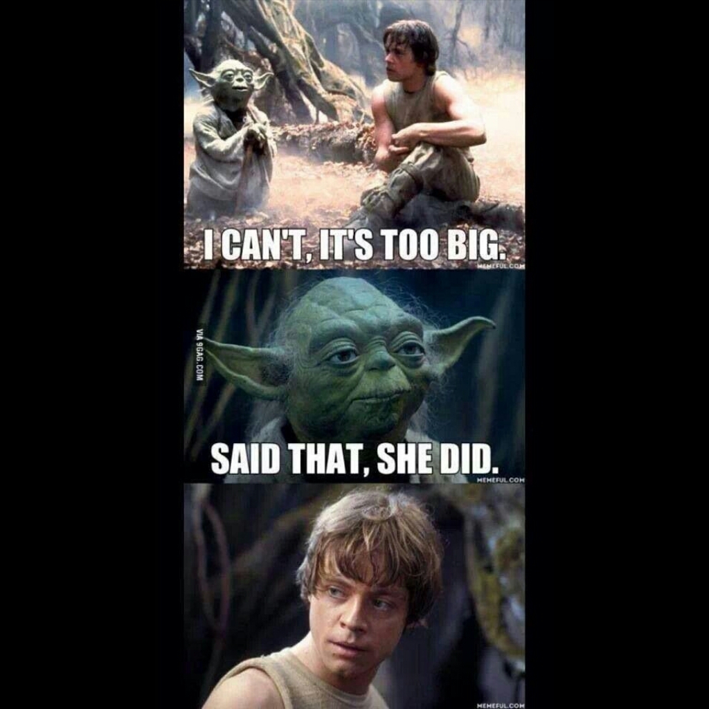 Wise Yoda - meme