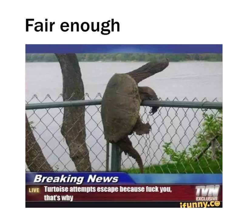 Fair enough - meme