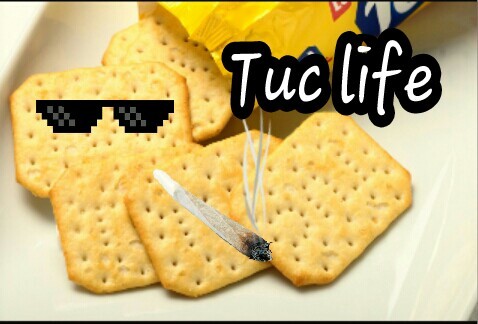 Thug life Tuc - meme