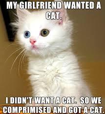 Girlfriend wants a cat meme