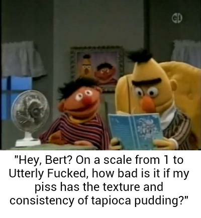 Delicious pudding, Ernie - meme