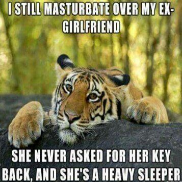Her new boyfriend is a heavy sleeper too... - meme
