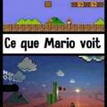 Mario 3D land