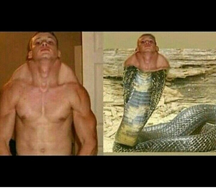Snake man - meme