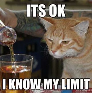 I can't know my limit, but i can taste this !!! - meme