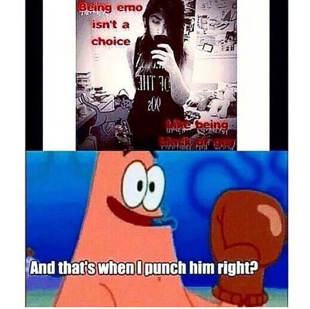 And that's when I punch him right? - meme