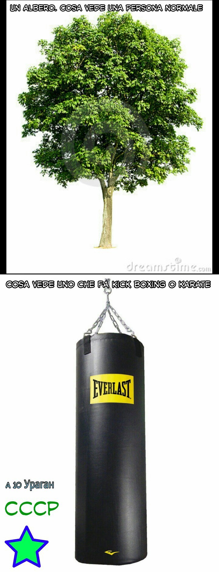 Chi non si è mai allenato su un albero? - meme