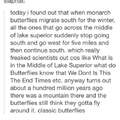 Dumb butterflies